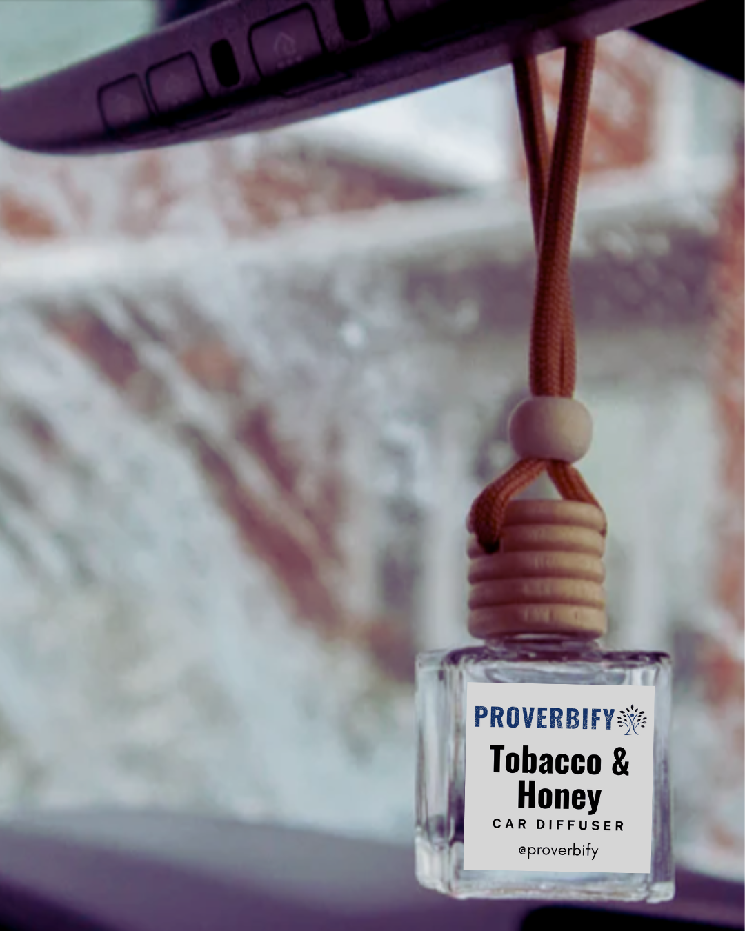 Hanging Bottle Car Diffuser