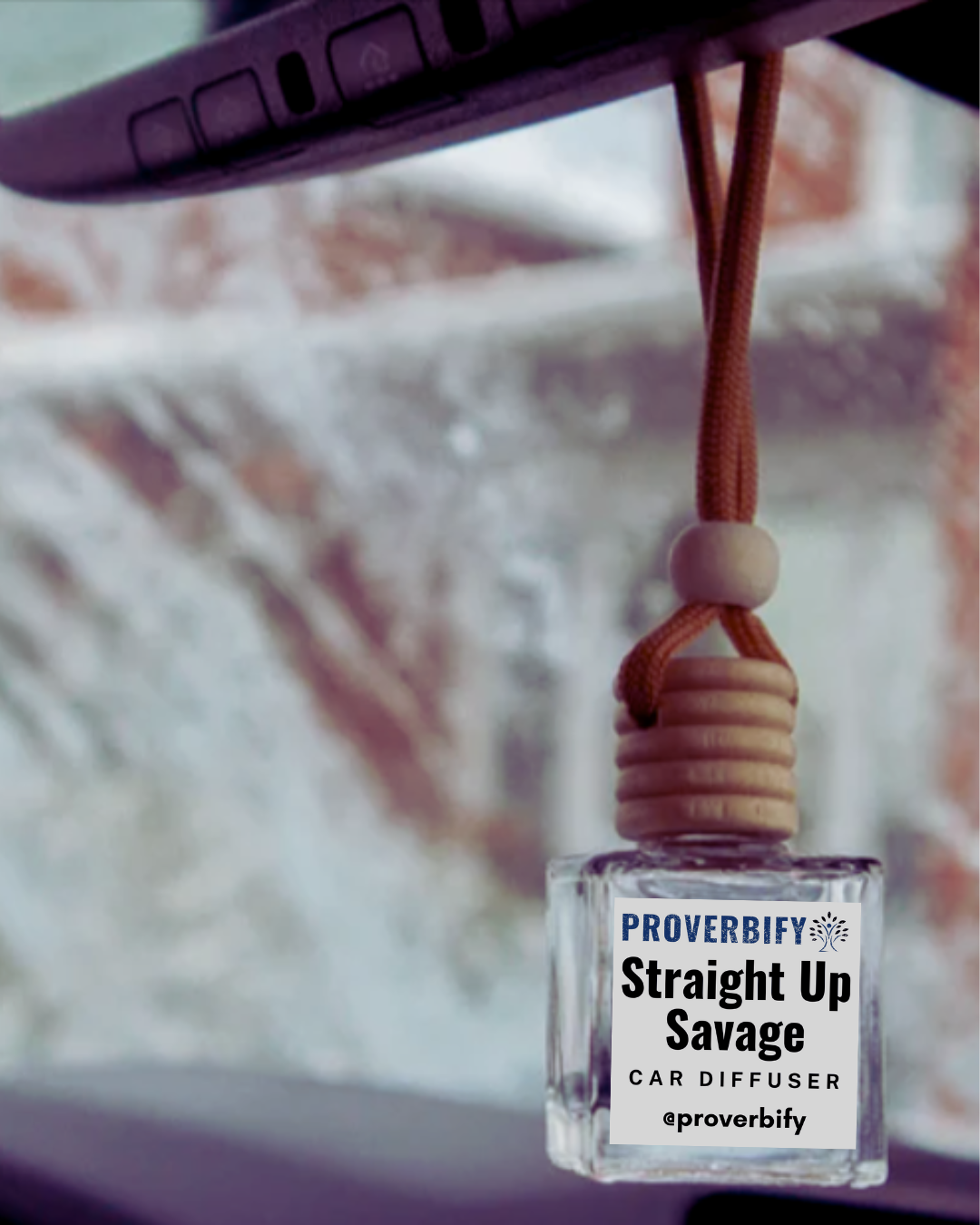 Hanging Bottle Car Diffuser