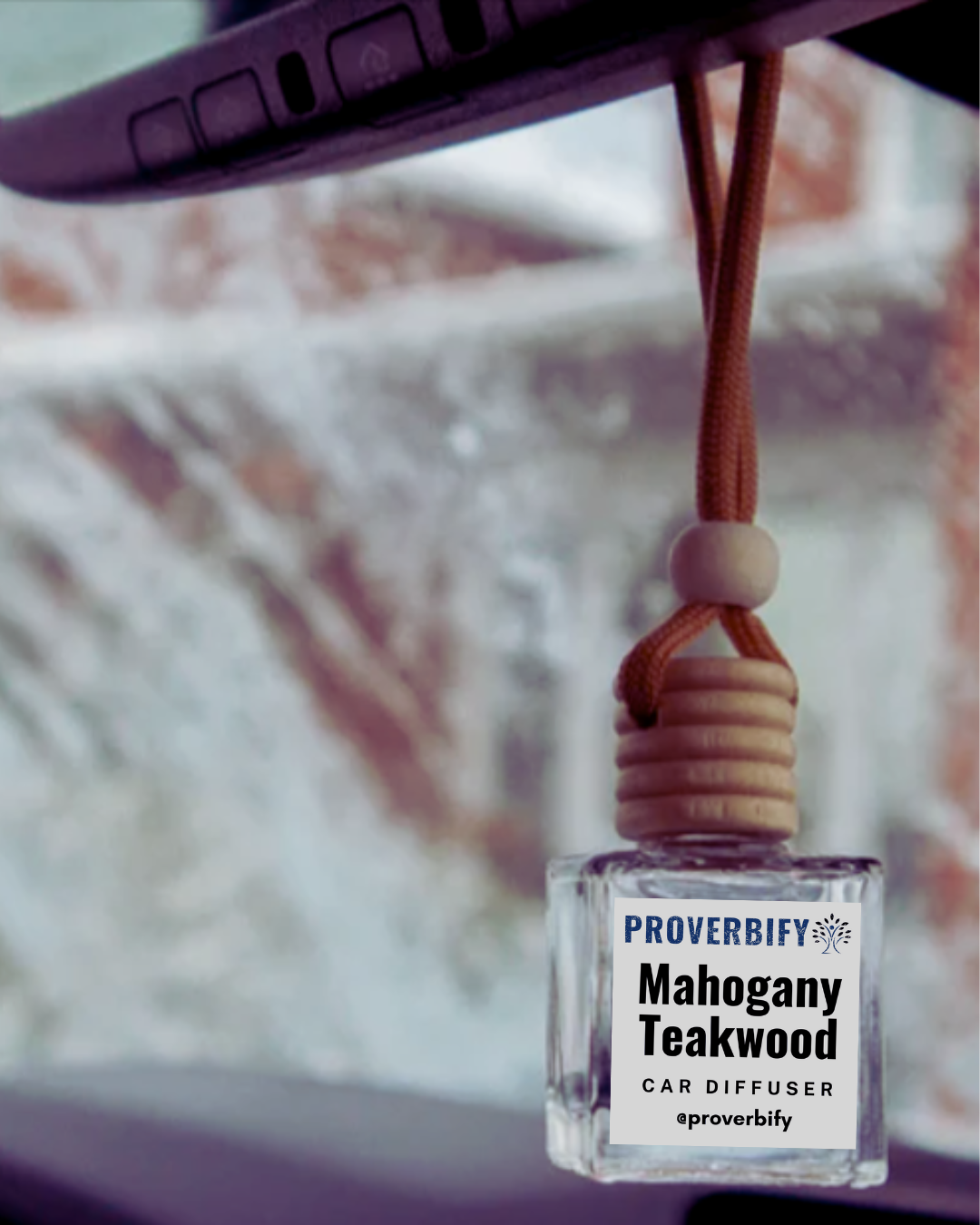 Hanging Bottle Car Diffuser